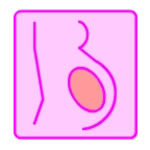 Logo of Pregnancy Calculator android Application 